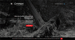 Desktop Screenshot of intelligize.com